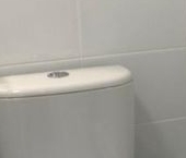 Сдать в аренду Квартиры вторичка д. Путилково, улица Сходненская, 8   