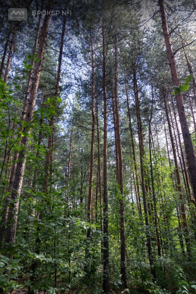 Продажа земли д. Энколово, улица Миниха