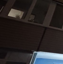 Аренда 2-комн квартиры на вторичном рынке Новлянский мкр, улица Новлянская,  д. 4