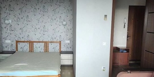 1-комн квартира улица Плещеева,  д. 10