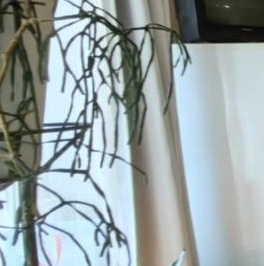 Продажа студии проспект Наставников, 47К1 Продажа студии проспект Наставников, 47К1