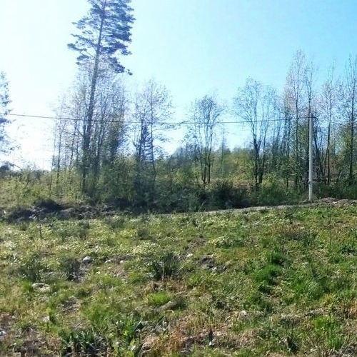 Земельный участок У Лукоморья СНТ