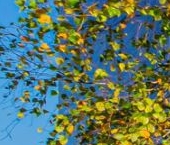 Продать Квартиры вторичка д. Большая Вруда, 12   