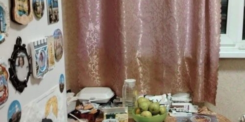 1-комн квартира Сестрорецк, Дубковское шоссе, 34