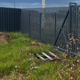 Продажа земли Кобралово кп, пос. Кобралово, 38