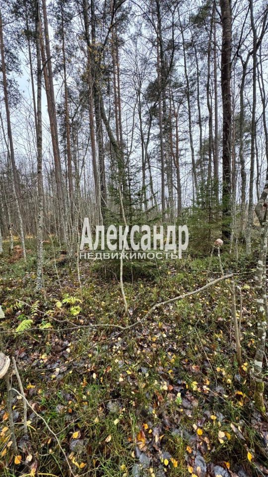 Продажа земли Садовые участки