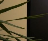 Продать Квартиры вторичка Невский проспект, 140   