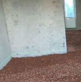 Продажа дома д. Яльгелево, улица Садовая, 12