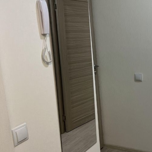 Студия пос. Шушары, проспект Старорусский, 5к1