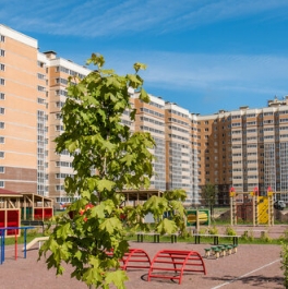 Продажа 1-комн квартиры на вторичном рынке Янино-1 д, Голландская ул