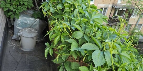 3-комн квартира Стачек пр-кт,  д. 122