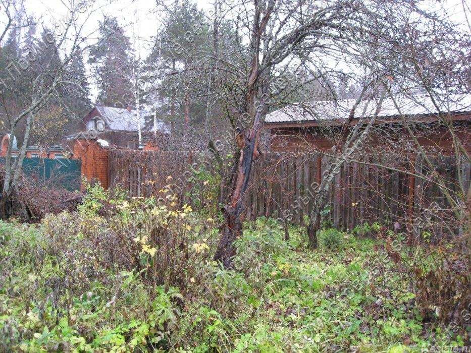Продажа земли Анашкино деревня,