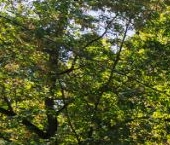 Продать Квартиры вторичка Зарайская улица, 47К1   