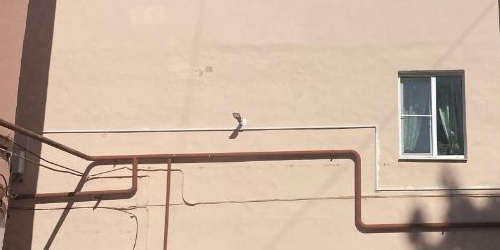 3-комн квартира Ломоносов, Дворцовый проспект, 34