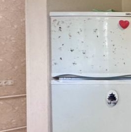 Аренда 1-комн квартиры на вторичном рынке Керамик мкр, Балашиха, улица Заводская,  д. 18