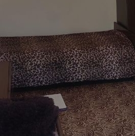 Аренда 1-комн квартиры на вторичном рынке Химки, проспект Мира, 3 Аренда 1-комн квартиры на вторичном рынке Химки, проспект Мира, 3