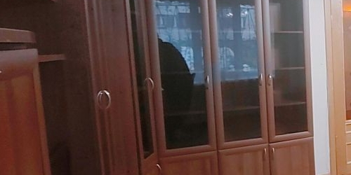 2-комн квартира Пушкин, улица Генерала Хазова, 4