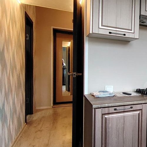 1-комн квартира Шлиссельбург, улица Чекалова, 37