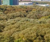 Продать Квартиры вторичка проспект Вернадского, 94к3   