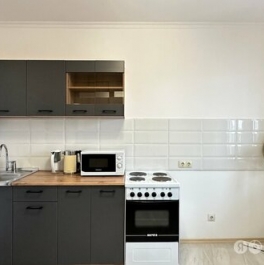 Аренда 1-комн квартиры на вторичном рынке проезд Шокальского,  д. 33