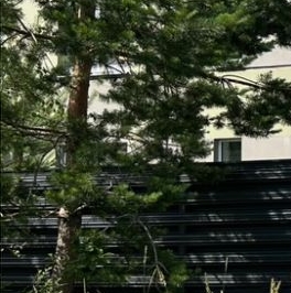 Продажа земли Холидэй Лэнд кп, проспект Кузнецовский, д. 24 Продажа земли Холидэй Лэнд кп, проспект Кузнецовский, д. 24