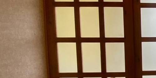 1-комн квартира Сестрорецк, Приморское шоссе, 290