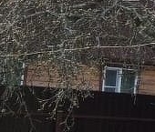 Продать Дачи, коттеджи, загородные дома Дивенская садоводческий массив, Дивное-2 СНТ  3 