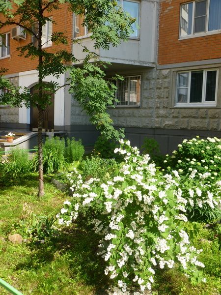 Аренда 1-комн квартиры на вторичном рынке Шелепихинское шоссе, 13С2