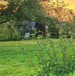 Продажа дома Сосновый Бор, проезд Корабельный