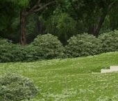 Продать Дачи, коттеджи, загородные дома пос. Ромашки, улица Полевая   