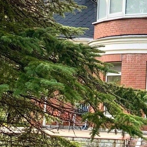 Коттедж/дом д. Юкки, улица Кольцевая