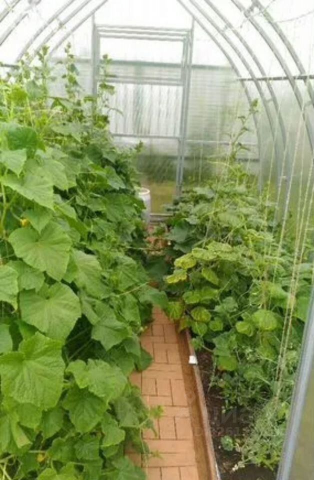 Продажа дома с. Ушаки, улица Луначарского, 11