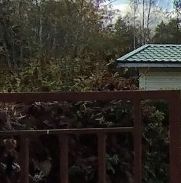 Продажа дома Фауна СНТ, 5-я Лесная линия Продажа дома Фауна СНТ, 5-я Лесная линия