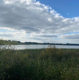 Продажа земли Бережки, 46Н-11360 Продажа земли Бережки, 46Н-11360