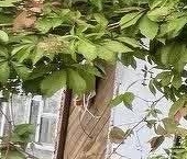 Продать Дачи, коттеджи, загородные дома Энергетик СНТ, улица 1-я, 23   