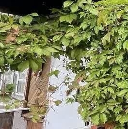 Продажа дома Энергетик СНТ, улица 1-я, 23 Продажа дома Энергетик СНТ, улица 1-я, 23