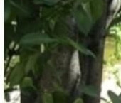 Продать Квартиры вторичка Комсомольский проспект, 19   