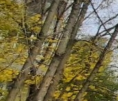 Продать Квартиры вторичка улица Академика Бочвара, 7К2   