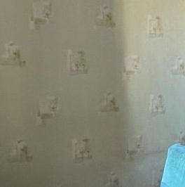 Аренда 2-комн квартиры на вторичном рынке Коломяжский проспект, 28