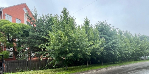 2-комн квартира Новосельковская ул. ,  д. 23