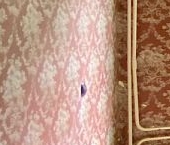 Продать Квартиры вторичка Клинская улица, 5   