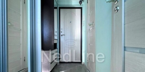 1-комн квартира Шлиссельбургский пр-кт,  д. 41