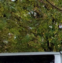 Продажа комнаты Ивантеевка, Трудовая улица, 14а Продажа комнаты Ивантеевка, Трудовая улица, 14а