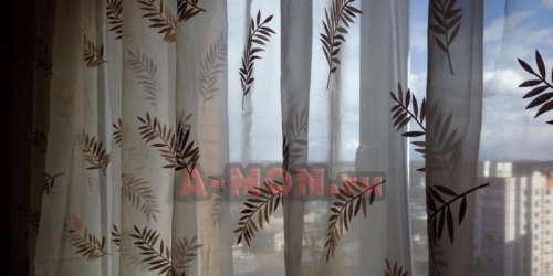 1-комн квартира Город Солнечногорск, Ленинградская, д. 14