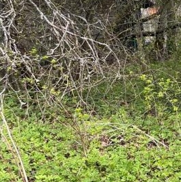 Продажа дома пос. Чулково, улица Центральная