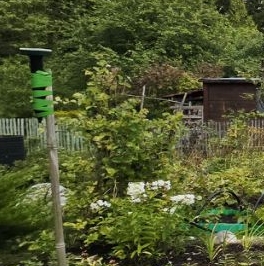 Продажа дома пос. Лейпясуо, Курортное СНТ, 1-я линия