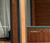 Продать Дачи, коттеджи, загородные дома Сосновый Бор, Приморский СНТ, проезд 11-й Приморский   