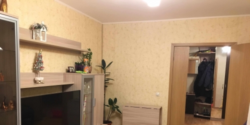 3-комн квартира Шушары п, Полоцкая (Славянка) ул,  д. 3