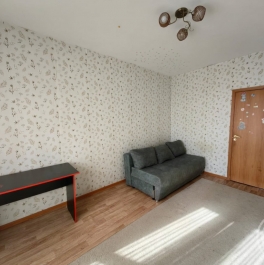 Аренда 2-комн квартиры на вторичном рынке Новое Девяткино дер., Новое Девяткино дер., д. 1 Аренда 2-комн квартиры на вторичном рынке Новое Девяткино дер., Новое Девяткино дер., д. 1