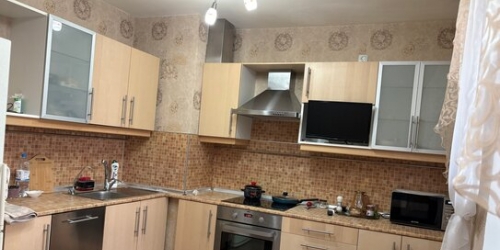 1-комн квартира Балканская М. ул,  д. 20